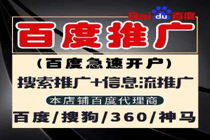 专业SEM托管如何助力电商行业增长？——案例分析